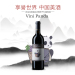 张裕菲尼潘达赤霞珠干红葡萄酒单支果香型13度熊猫系列750ml 13度