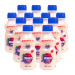 椰芝岛 胃动力338mlx12瓶 乳酸菌风味饮品牛奶酸奶