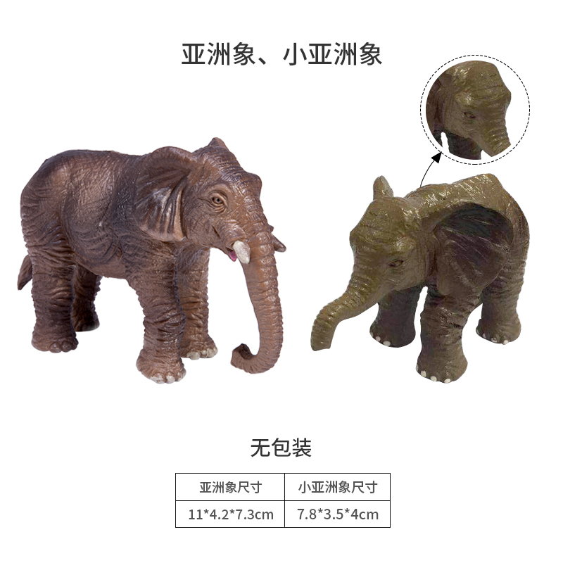 仿真玩具模型儿童野生动物摆件亚洲象