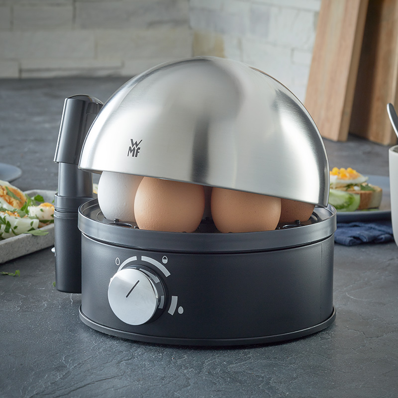 福腾宝 煮蛋器 全自动小型家用迷你煮蛋机不锈钢蒸蛋器 可煮7蛋